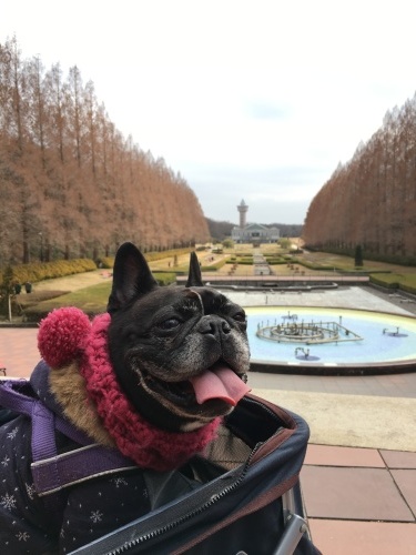 b0113232_16431016.jpeg