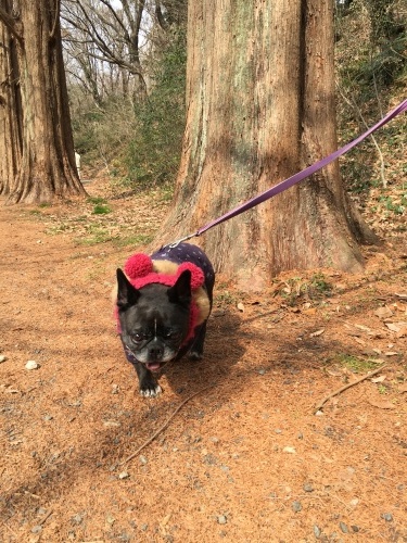 b0113232_16434665.jpeg