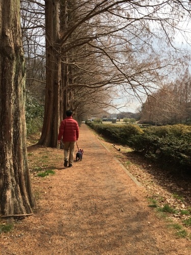 b0113232_16442283.jpeg