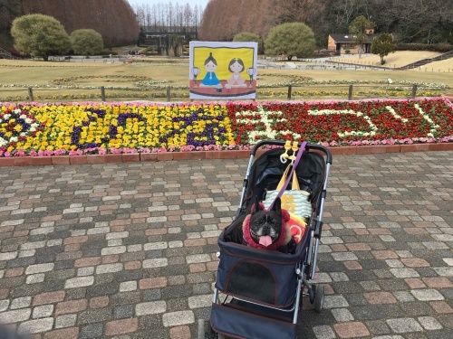 b0113232_16444806.jpeg