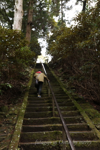 大分紀行 〜両子寺〜_a0207736_21485774.jpg