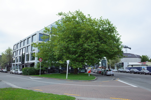 a0287336_148578.jpg