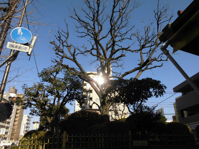 e0371039_17565565.gif
