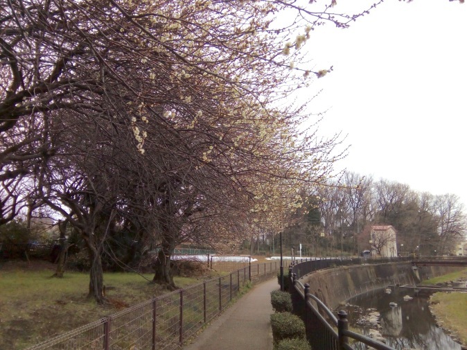 f0130642_23253248.jpeg