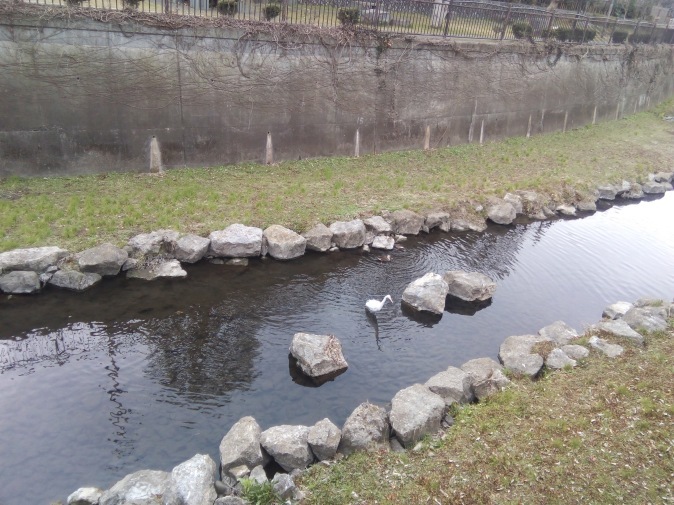 f0130642_23255104.jpeg