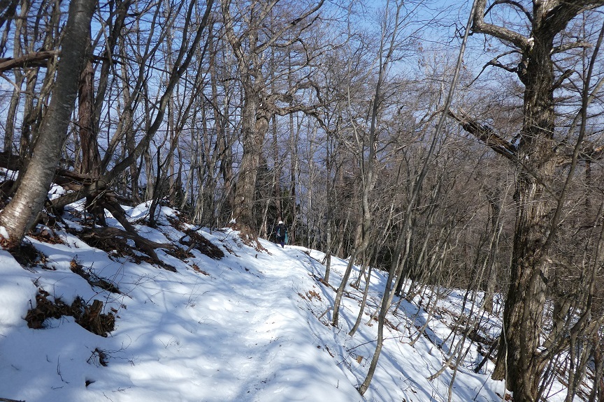 d0288144_23552491.jpg