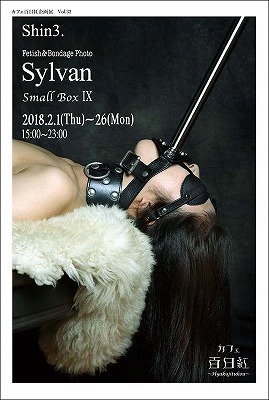 Shin3.個展『Sylvan Small Box IX』！_b0122645_01285180.jpg