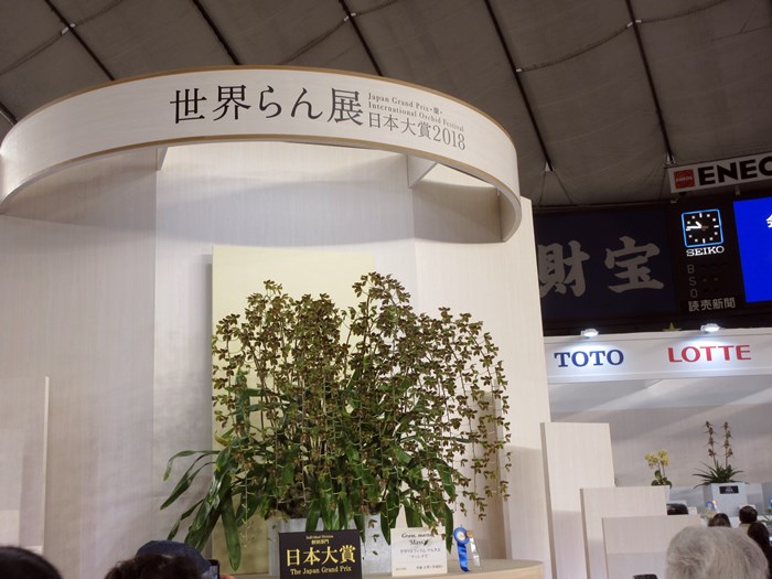 b0009849_16304360.jpg