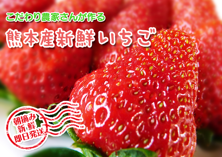 熊本産高級イチゴ『完熟紅ほっぺ』　そだね！ジャパン効果？売れてます！！_a0254656_16082796.jpg