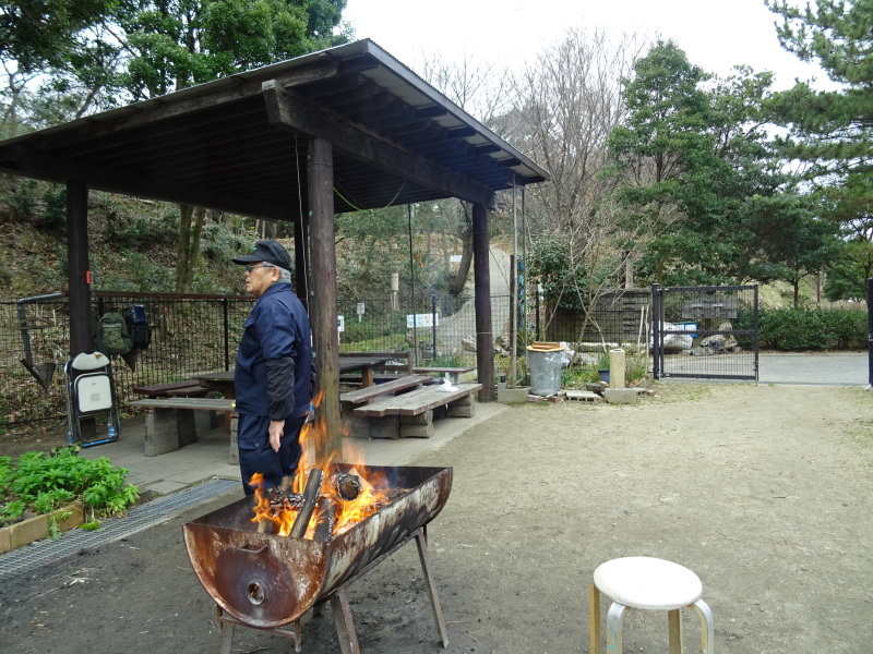 『みんなで一緒にワカメを育てよう:収獲祭り』・・・せんなん里海公園_c0108460_19422336.jpg