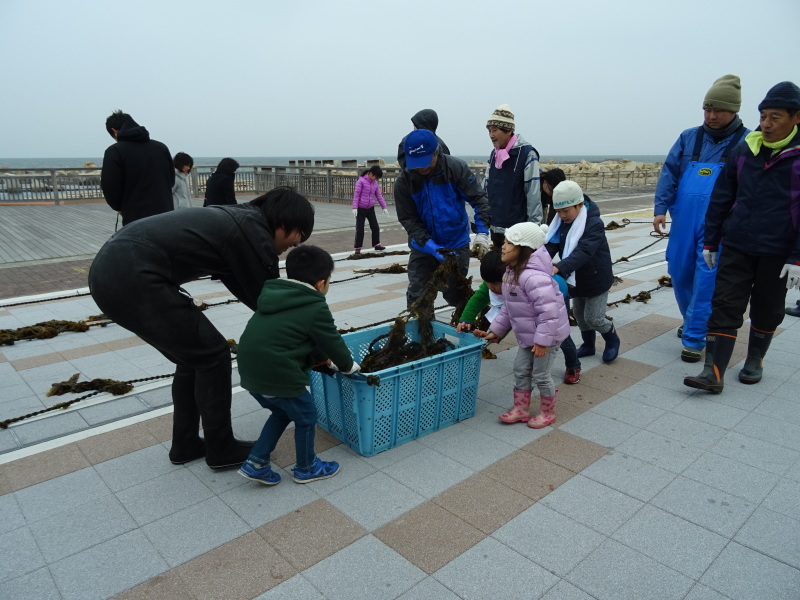 『みんなで一緒にワカメを育てよう:収獲祭り』・・・せんなん里海公園_c0108460_19484317.jpg