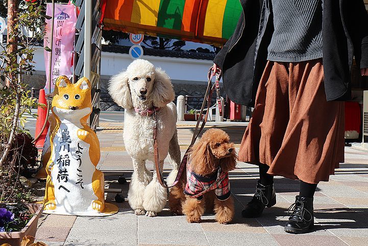 豊川稲荷へいってきました♪_b0111376_15151346.jpg