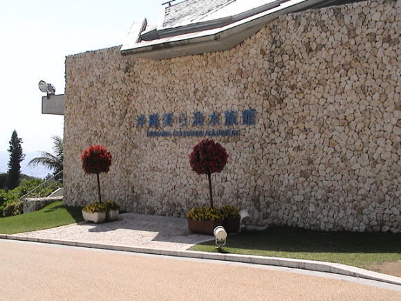 美ら海水族館!_a0268377_13295234.jpg