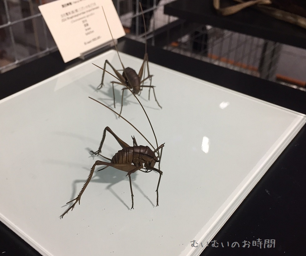 自在置物のカマドウマ Artists Fair Kyoto むいむいのお時間