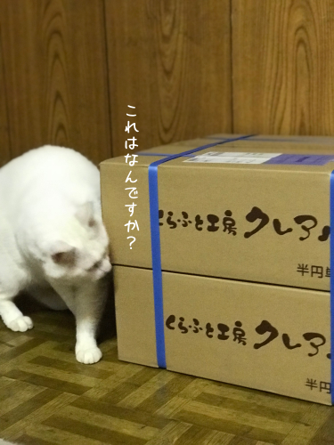 a0216583_13353390.png