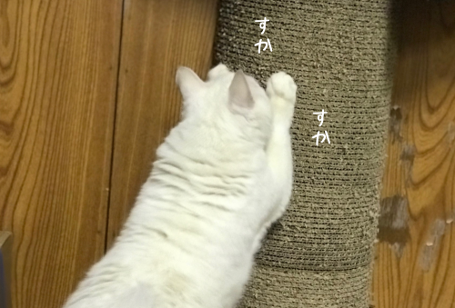a0216583_13354192.png