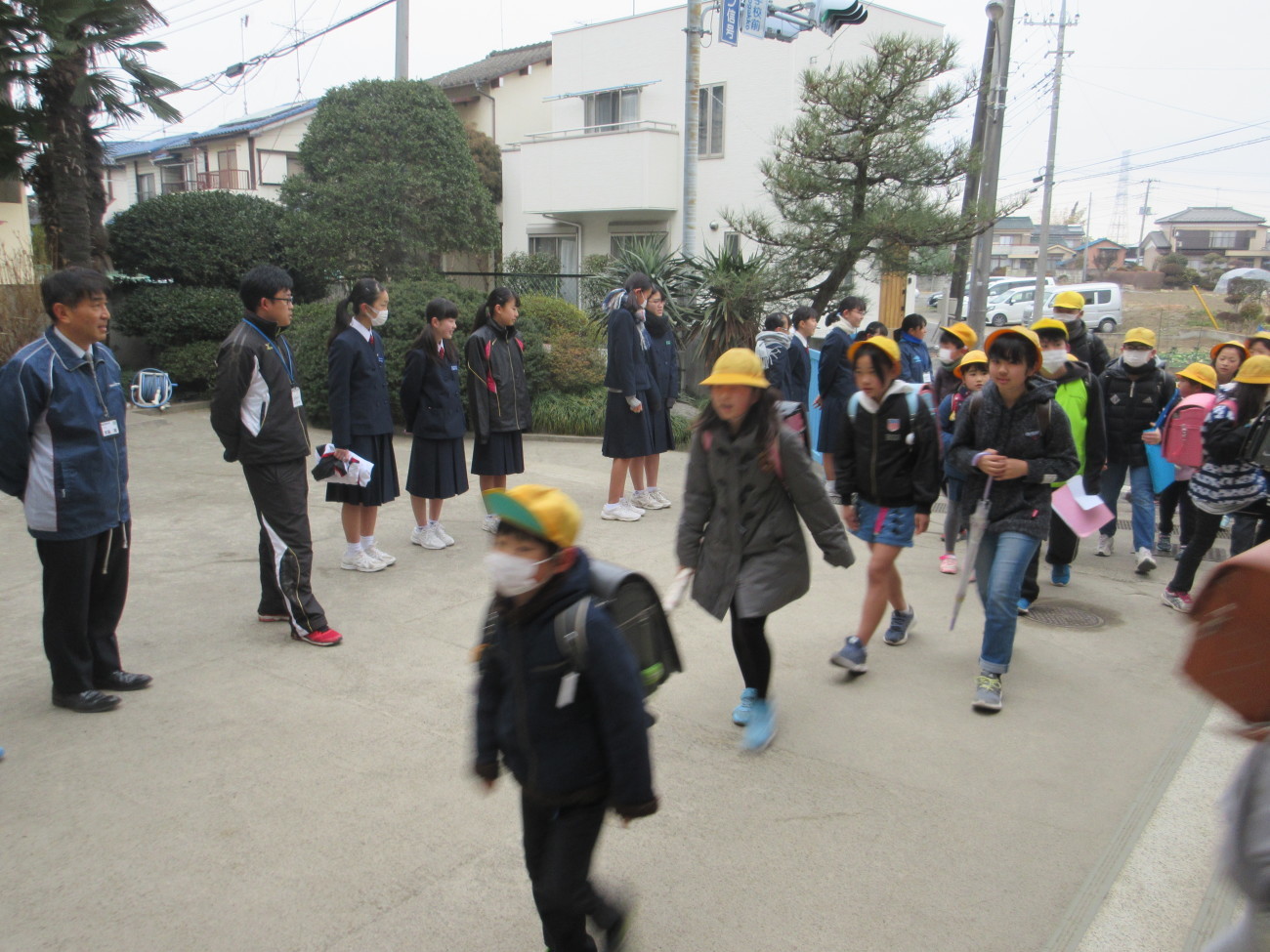 2月22日 木 小中連携事業 あいさつ運動 タンポポ先生の日記 2月22日 木 小中連携事業 あいさつ運動 タンポポ先生の日記