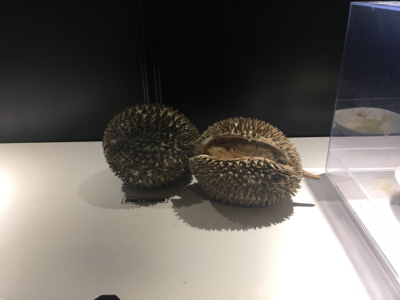 におい展へ_d0261589_19054500.jpg