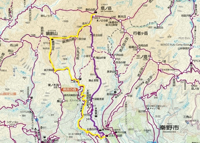 雪のない山レポート～2月の丹沢