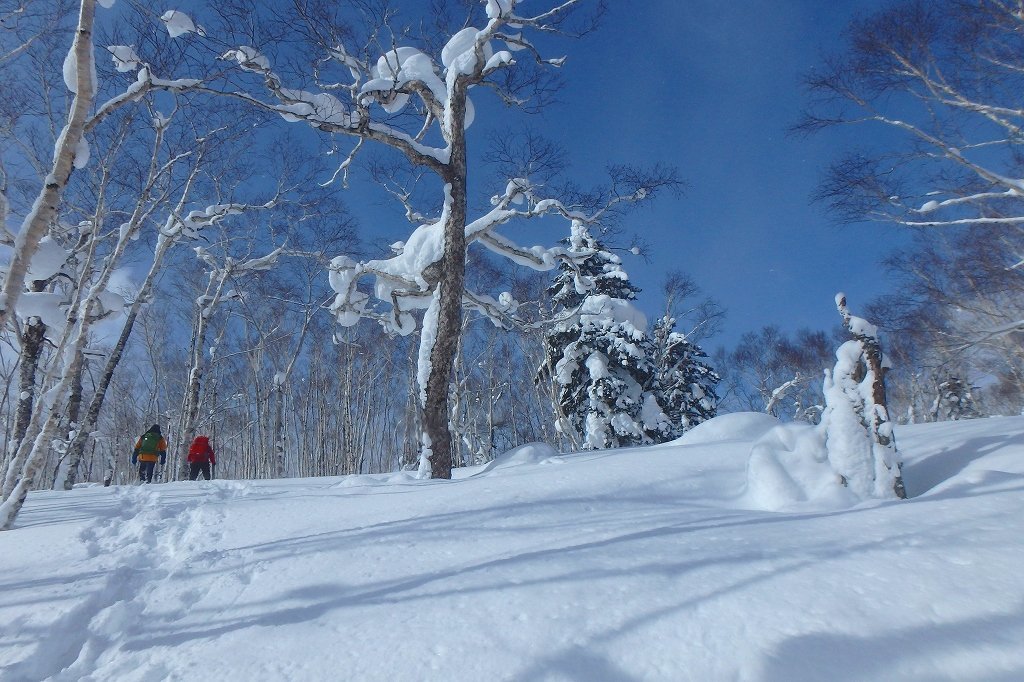 丹鳴尾山と鳴尾山、2018.2.25ー速報版ー_f0138096_21111464.jpg