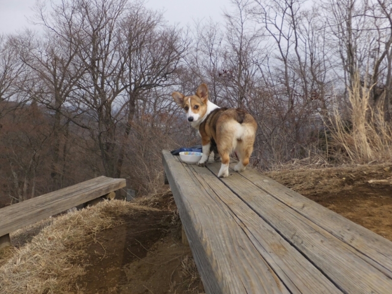 少年♪ダウンヒル_a0372902_12161552.jpg