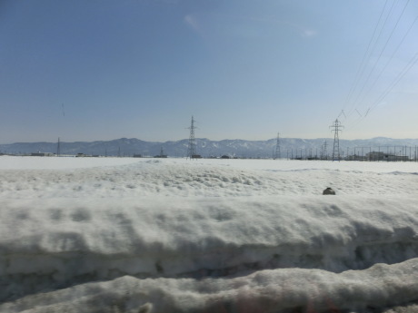 a0203003_20320197.jpg