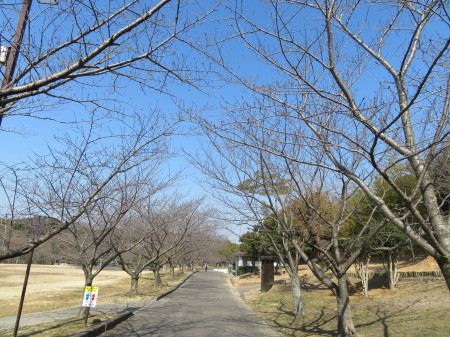 b0291805_18581912.jpg