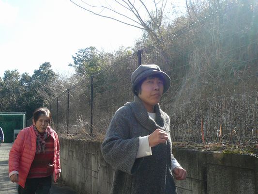 2/23 散歩_a0154110_09183337.jpg