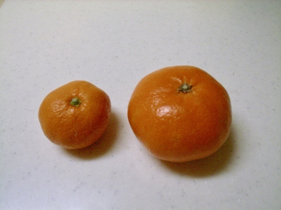 c0271012_08242867.jpeg