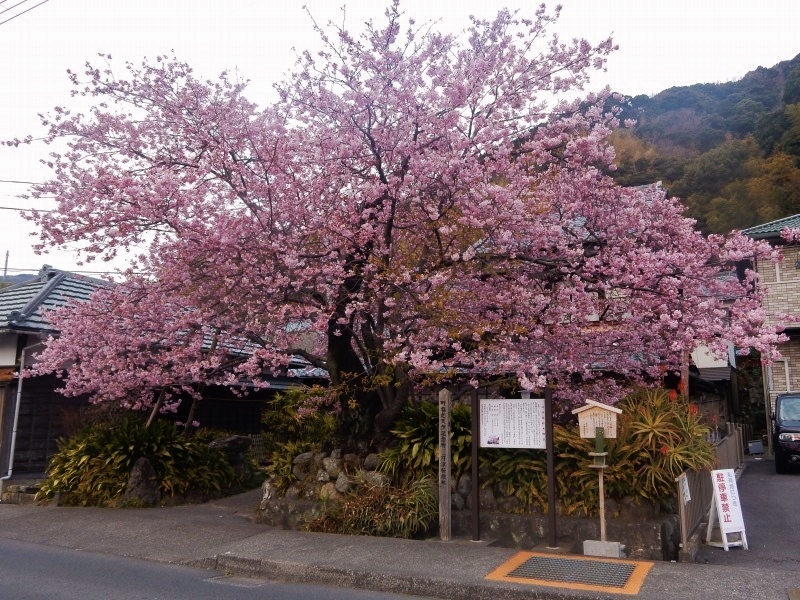 f0182513_23423960.jpg