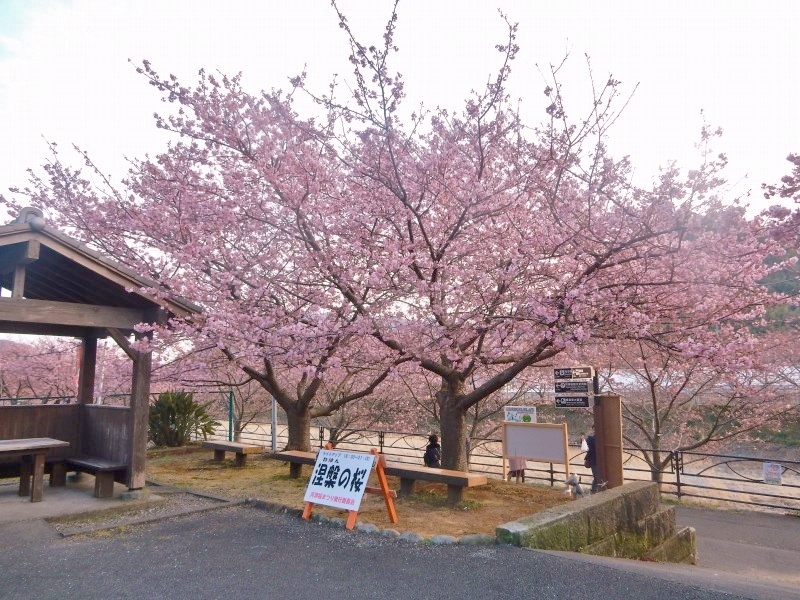 f0182513_23431079.jpg
