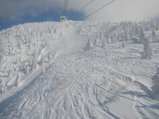 c0359615_21164917.jpg