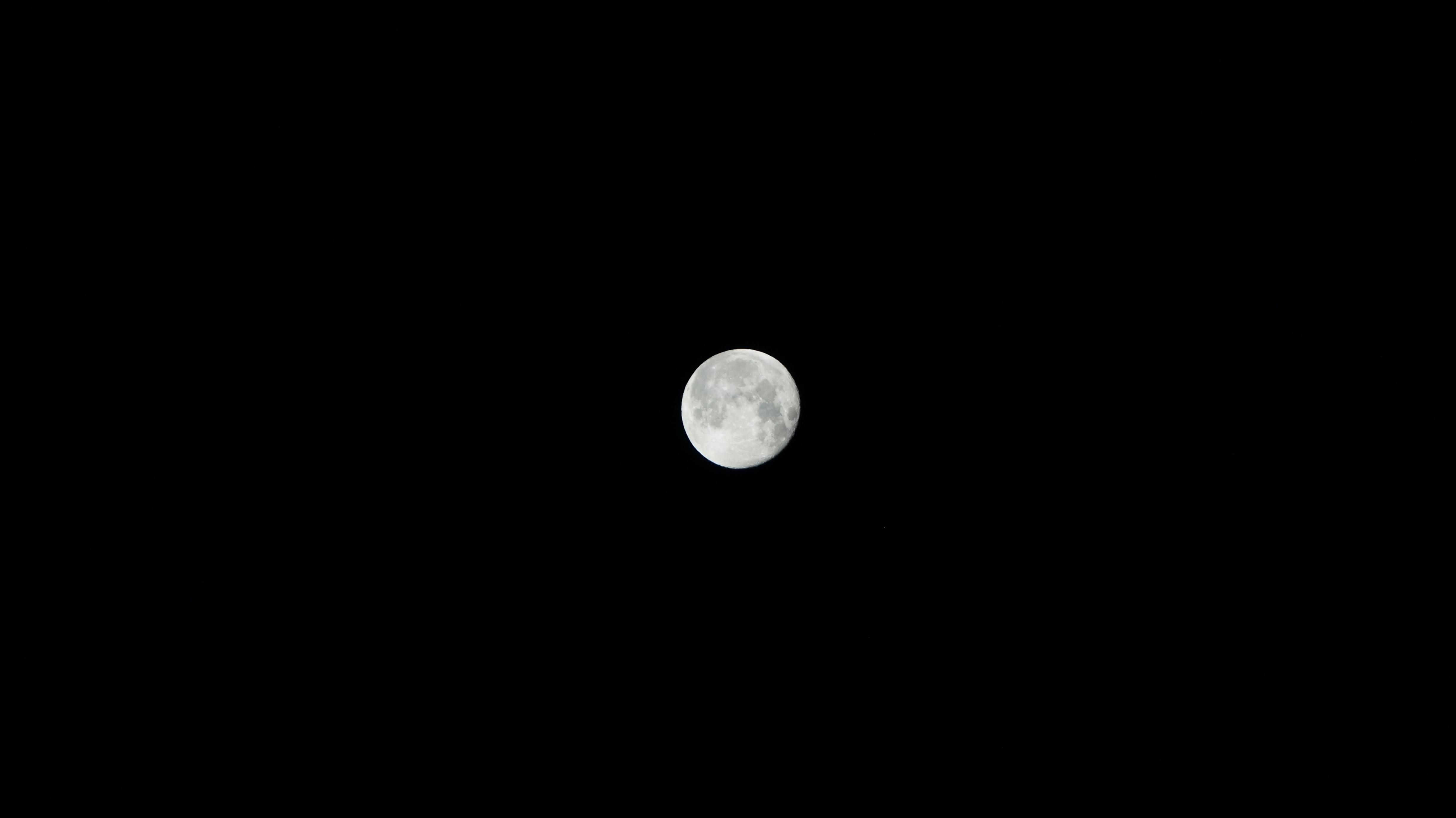 e0265618_04260464.jpg