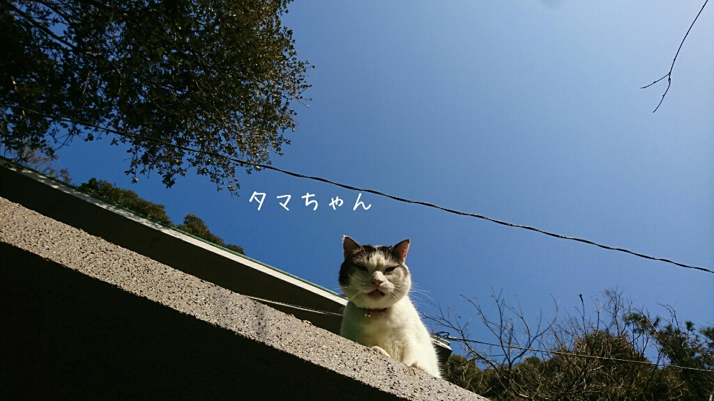 b0187620_17583175.jpg