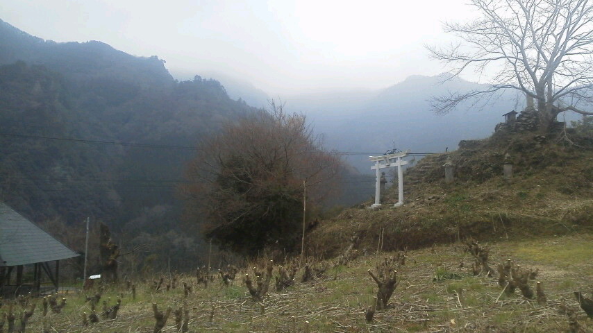 c0089831_59131.jpg