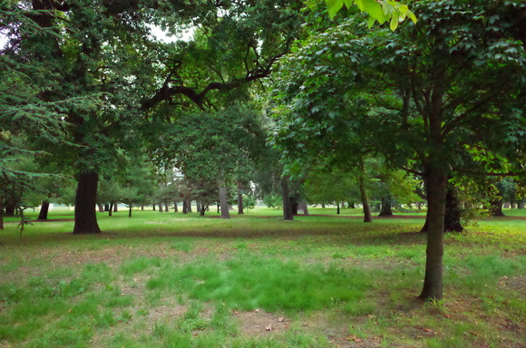 a0287336_2141173.jpg