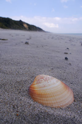 c0019338_21324991.jpg