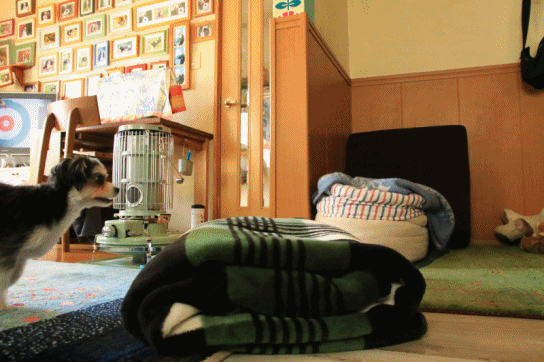 c0145250_09214951.gif