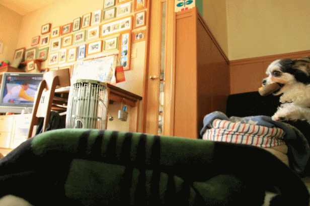 c0145250_09221421.gif