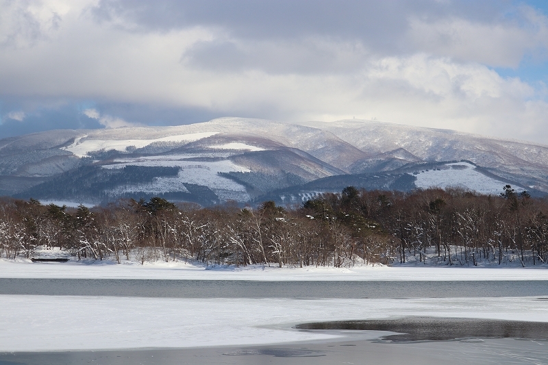 2月18日　晴れたので　１１_b0250154_23011084.jpg