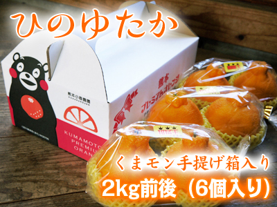 デコポン（肥後ポン）　売れてます！お急ぎください！熊本限定栽培!!樹上完熟デコポン「ひのゆたか」_a0254656_17580442.jpg