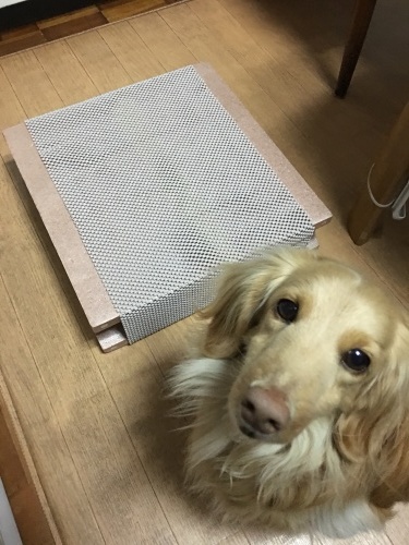 b0027259_23222004.jpeg