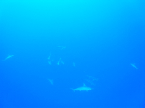 ２月２６日　久々の爆流_d0113459_18501002.jpg