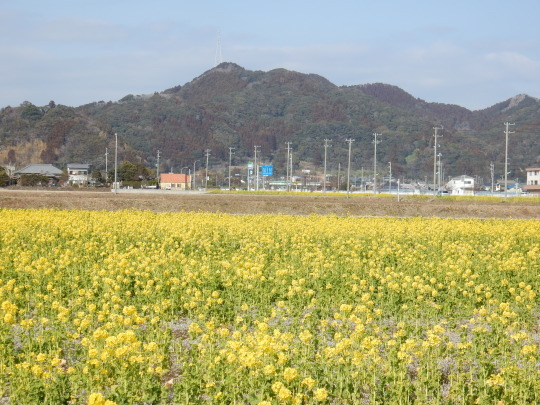’18,2,27(火)菜の花ロードに行ってきたYO!_f0060461_21311285.jpg