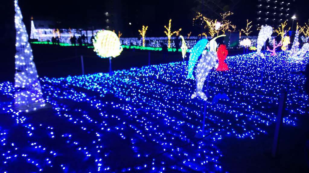 f0374164_09120951.jpg