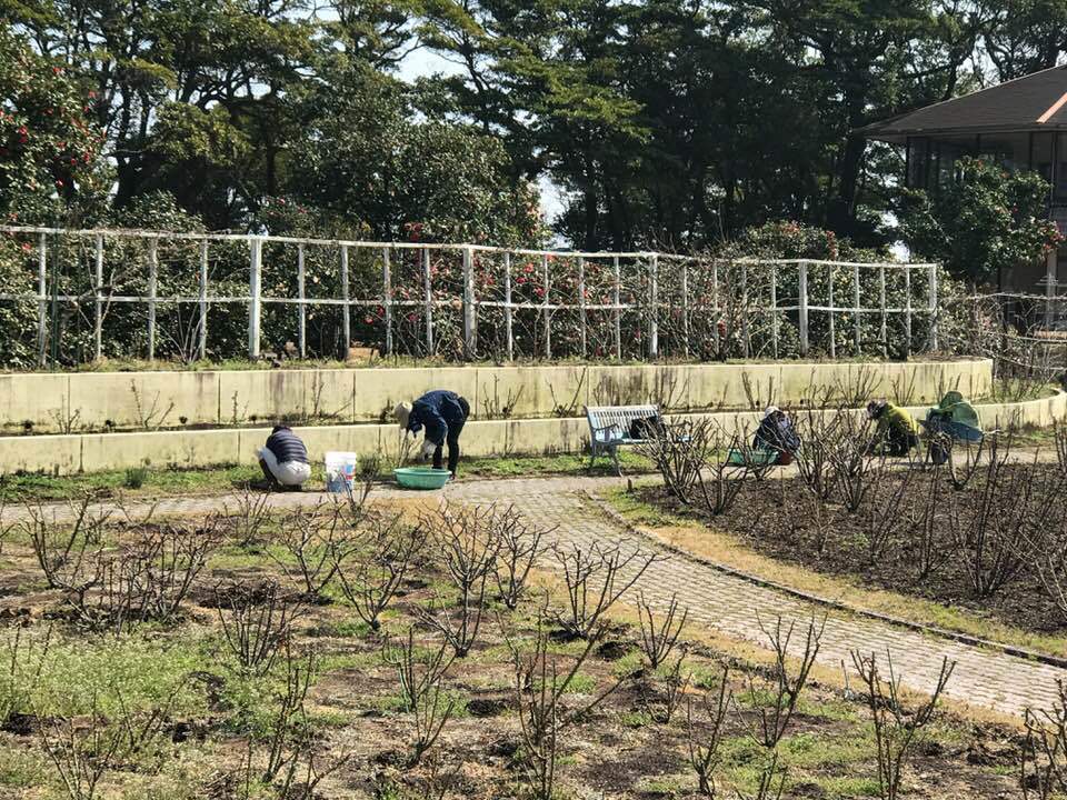 ポカポカ、お天気の定休日でした・・・・お弁当に釣られて_b0137969_23332202.jpg