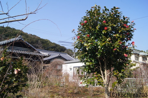 e0181373_21243342.jpg