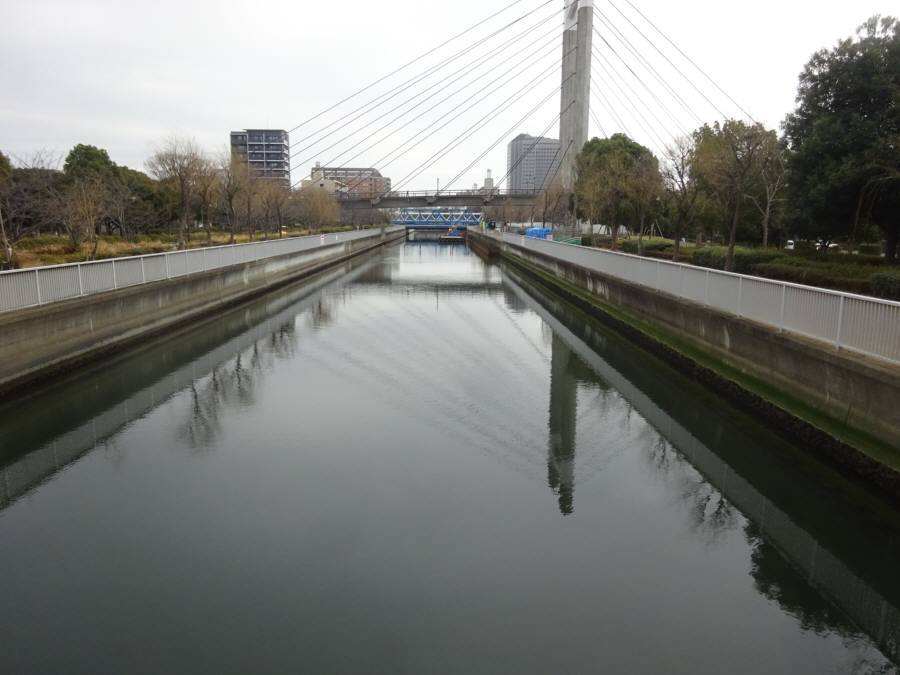 f0059673_23064483.jpg