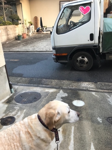 f0315081_22193463.jpeg