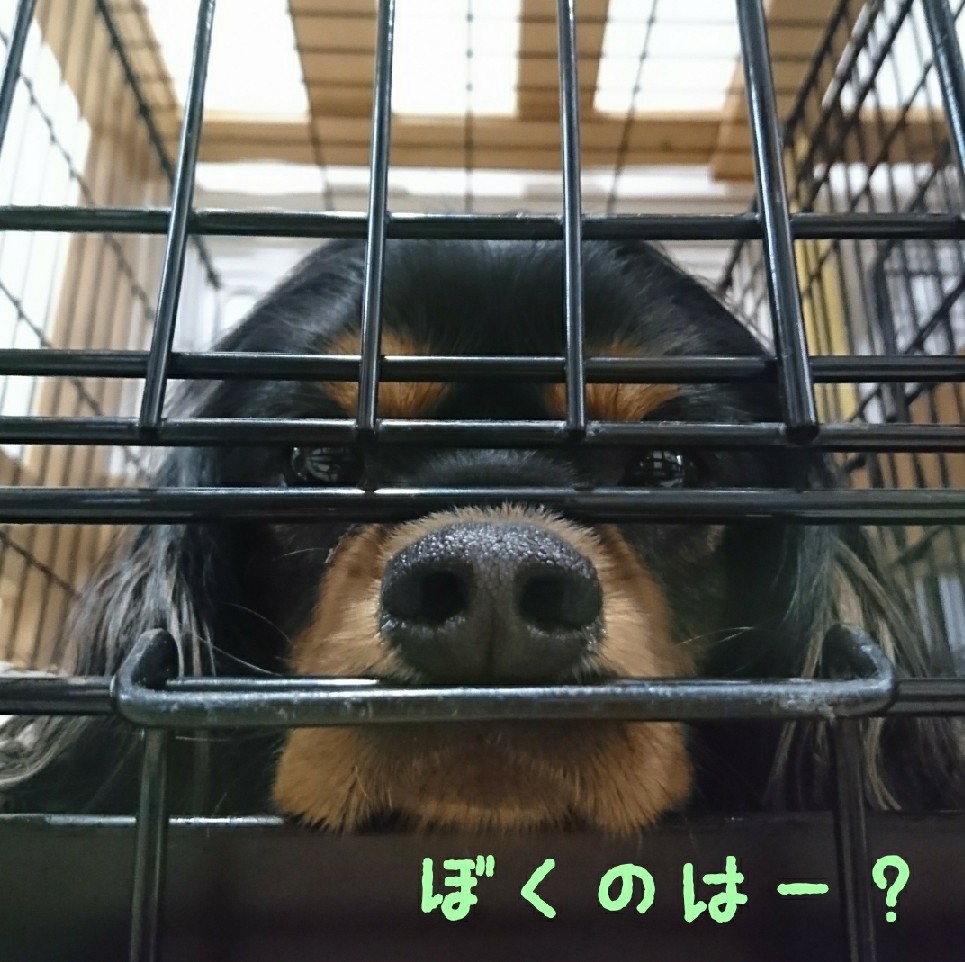 ぽかぽか陽気でピクニ..._f0357682_15455777.jpg